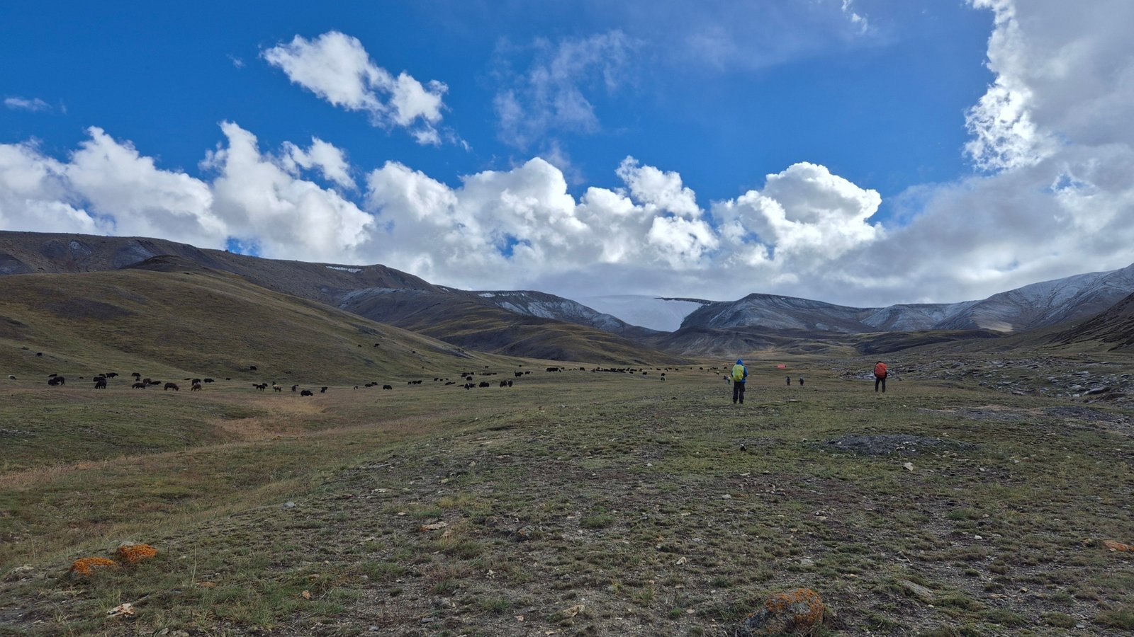 Dzo Jongo Peak Trek expedition photograph from Kailasa Treks